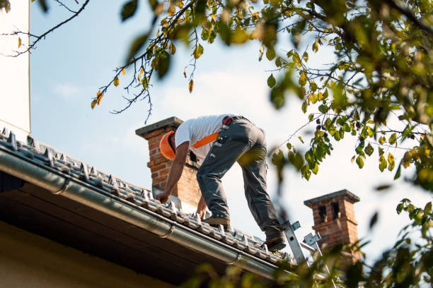 Best Flat Roof Repair Services  in Mccom, MS