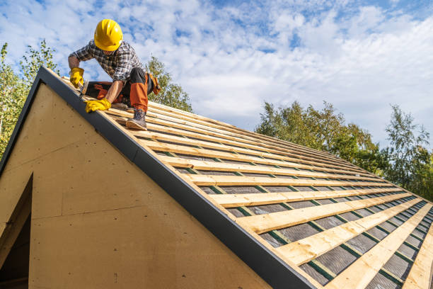 Best Roof Gutter Cleaning  in Mccom, MS